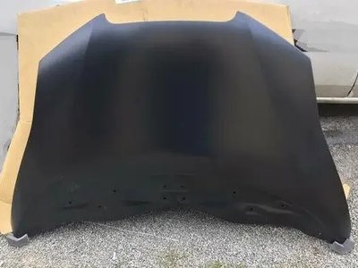 Капот Nissan Leaf 2011-2017 651003NF0A залізо