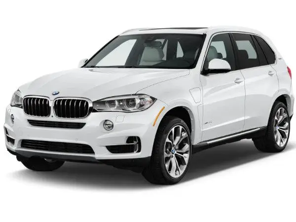 Лівий Молдинг решітки бампера BMW X5 F15 2014- 2018 51117303113 — фото 1