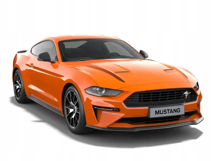 Решетка Бампера Ford Mustang 2017- Черная 2306617 — фото 3