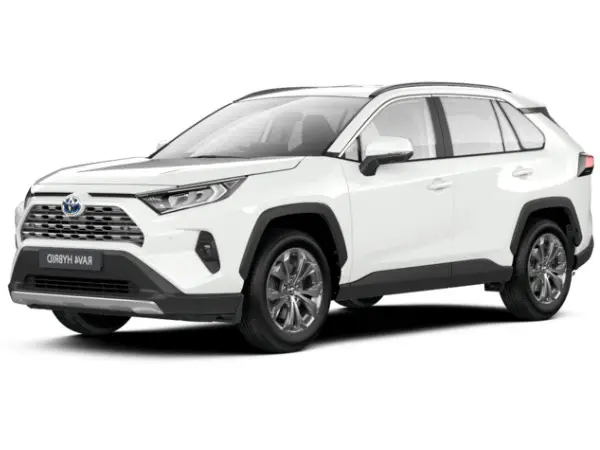 Накладка задніх дверей права Toyota RAV4 2018- 2021 750770R070 — фото 1