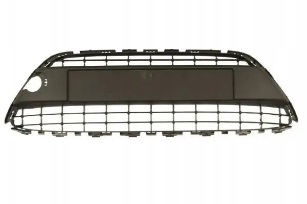 Решітка радіатора Ford Fiesta 2009-2013 1532213 1766625