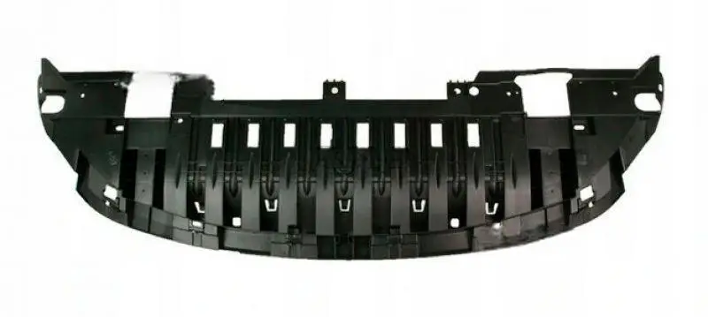 Захист Бампера Передня Renault Scenic 2009-2012 Кроме Grand